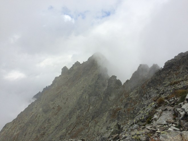 Widok 2