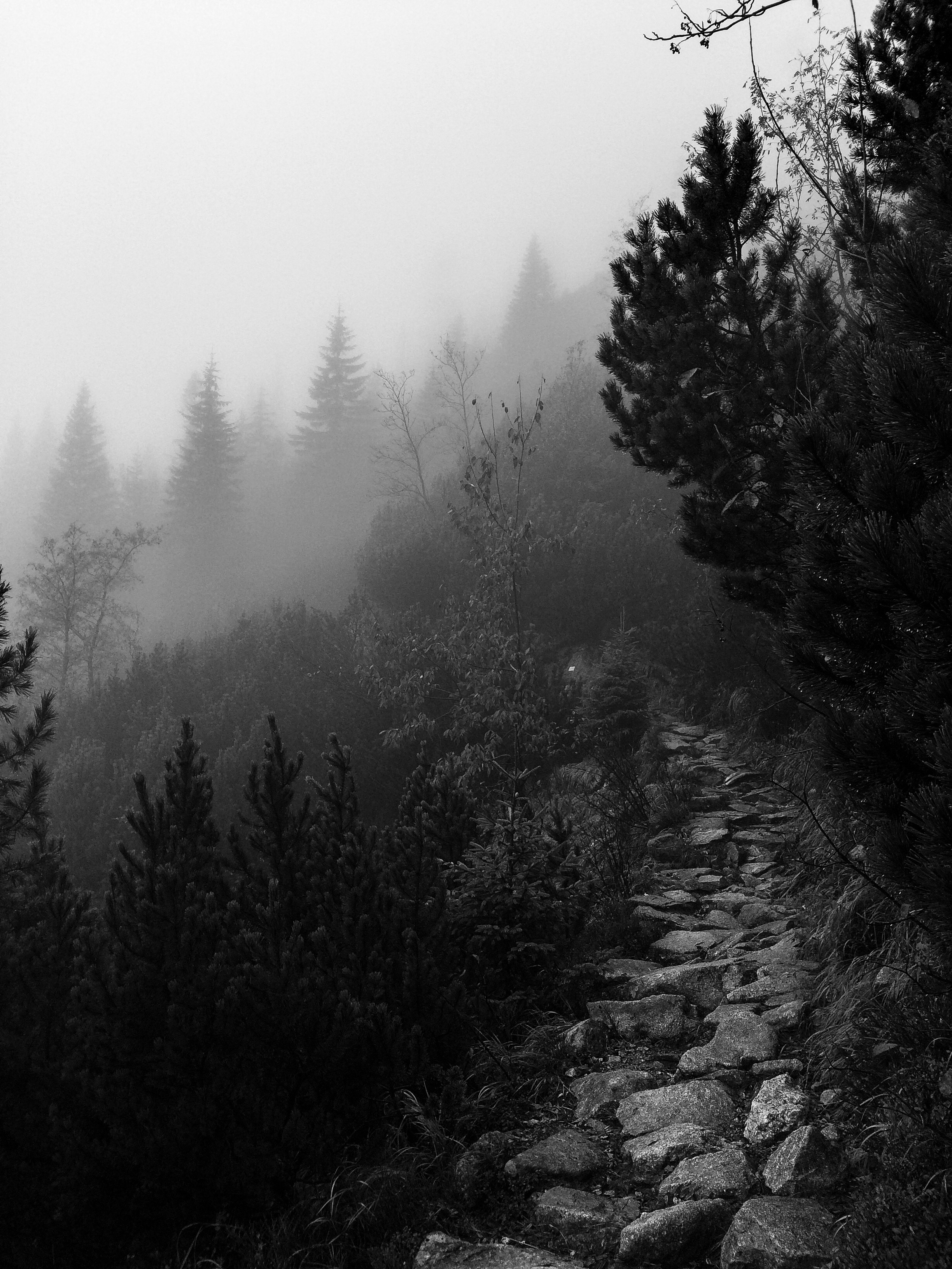 Widok na Mnicha