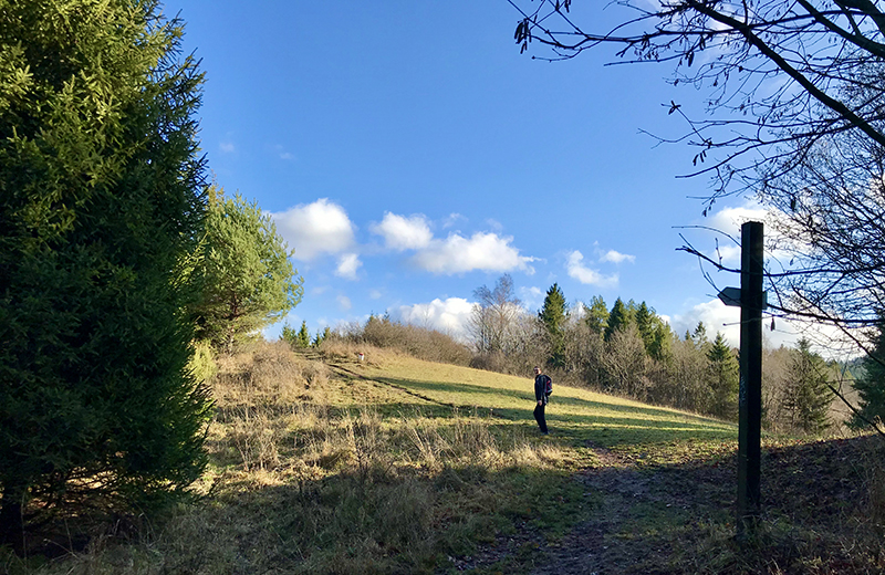 IMG_3797