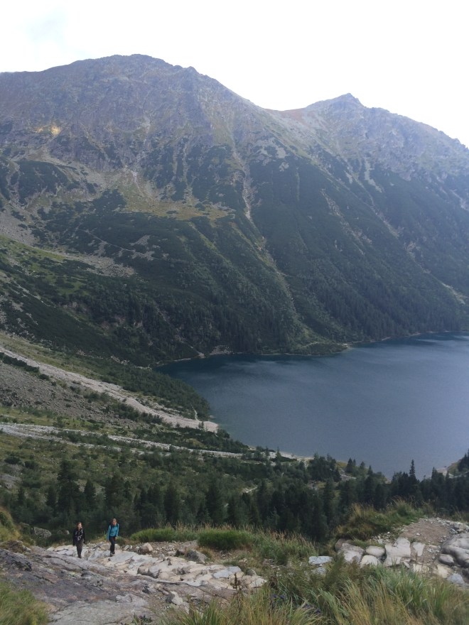 Widok 7