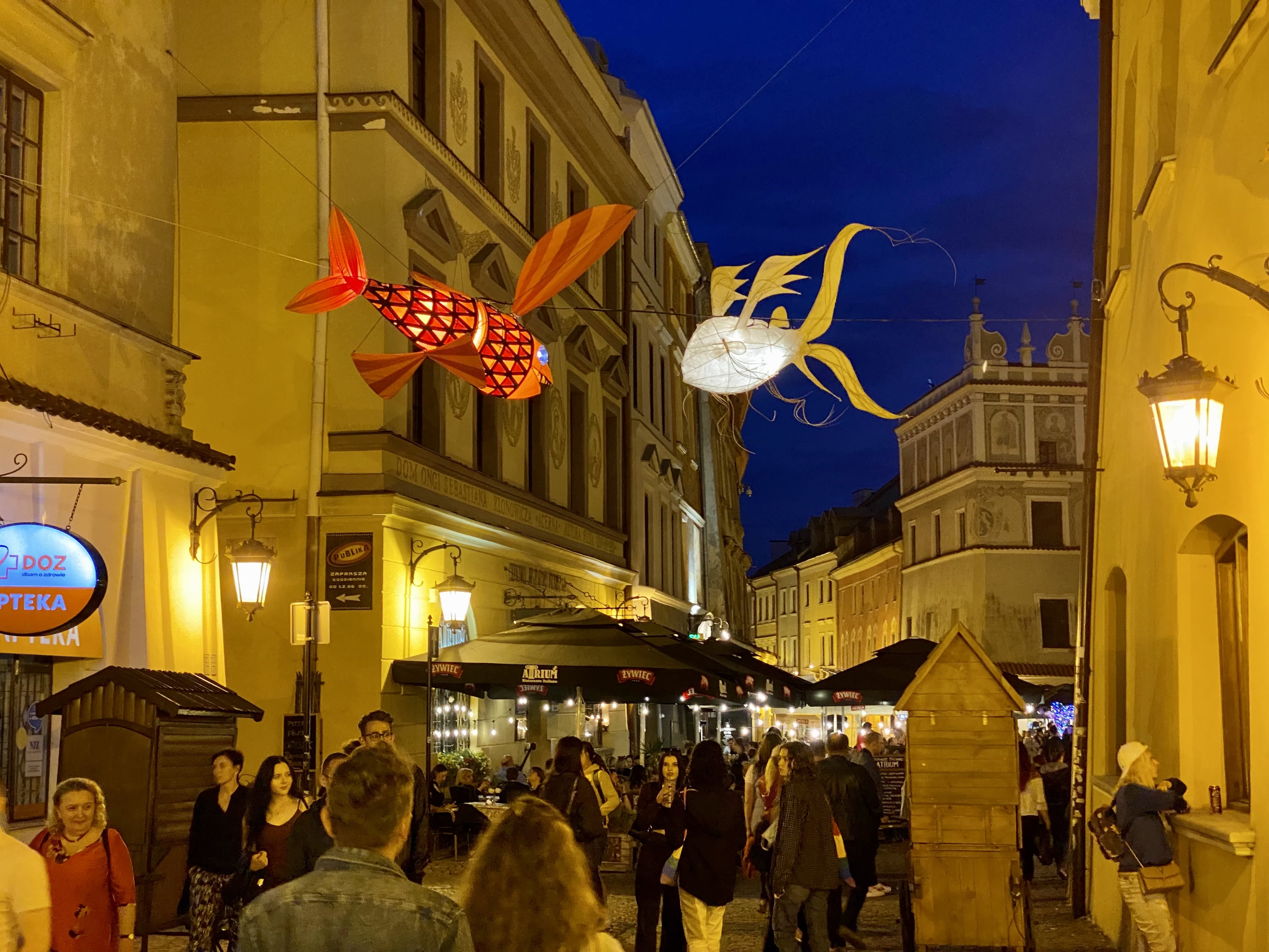 Festiwal 