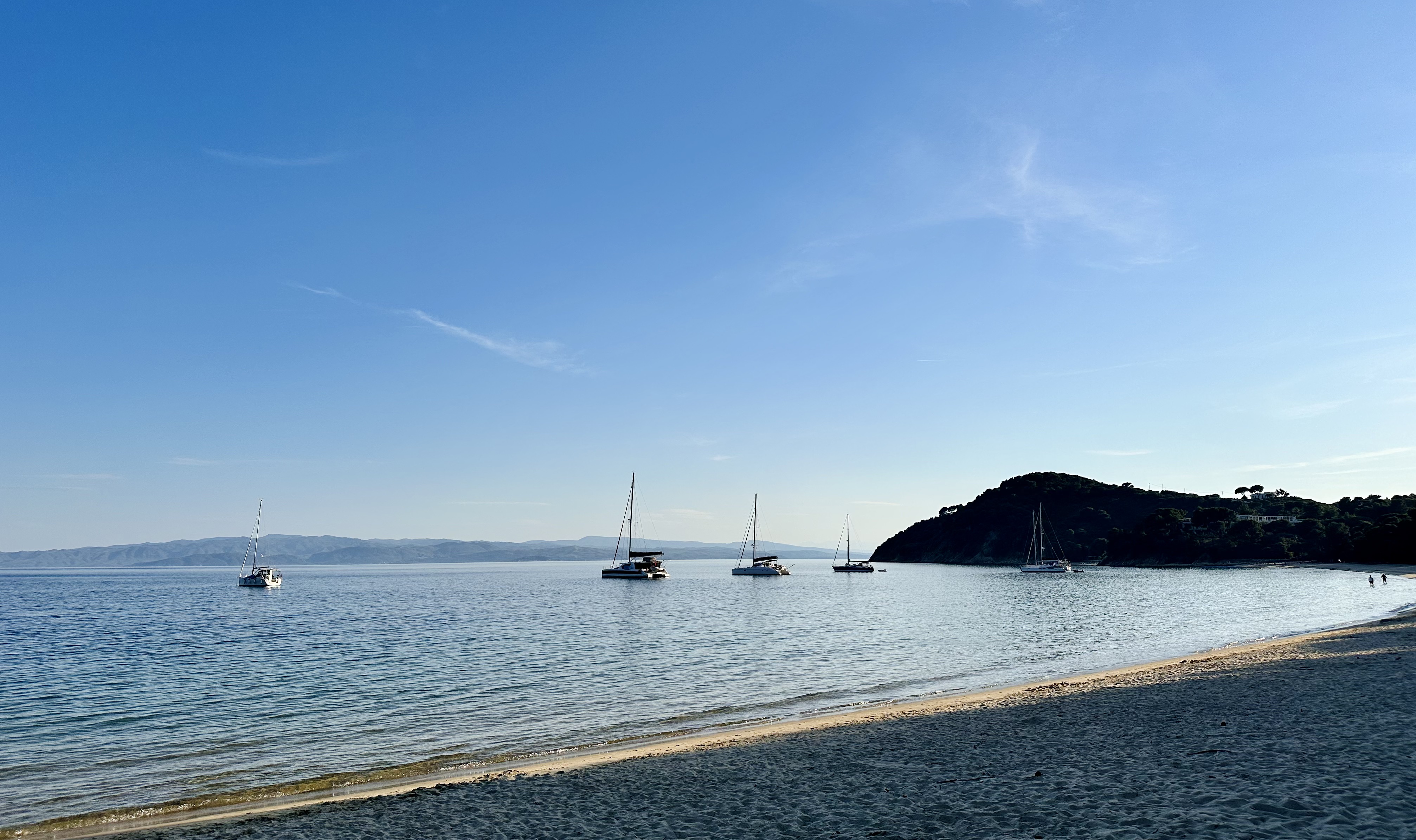 Sporady - odrzucone