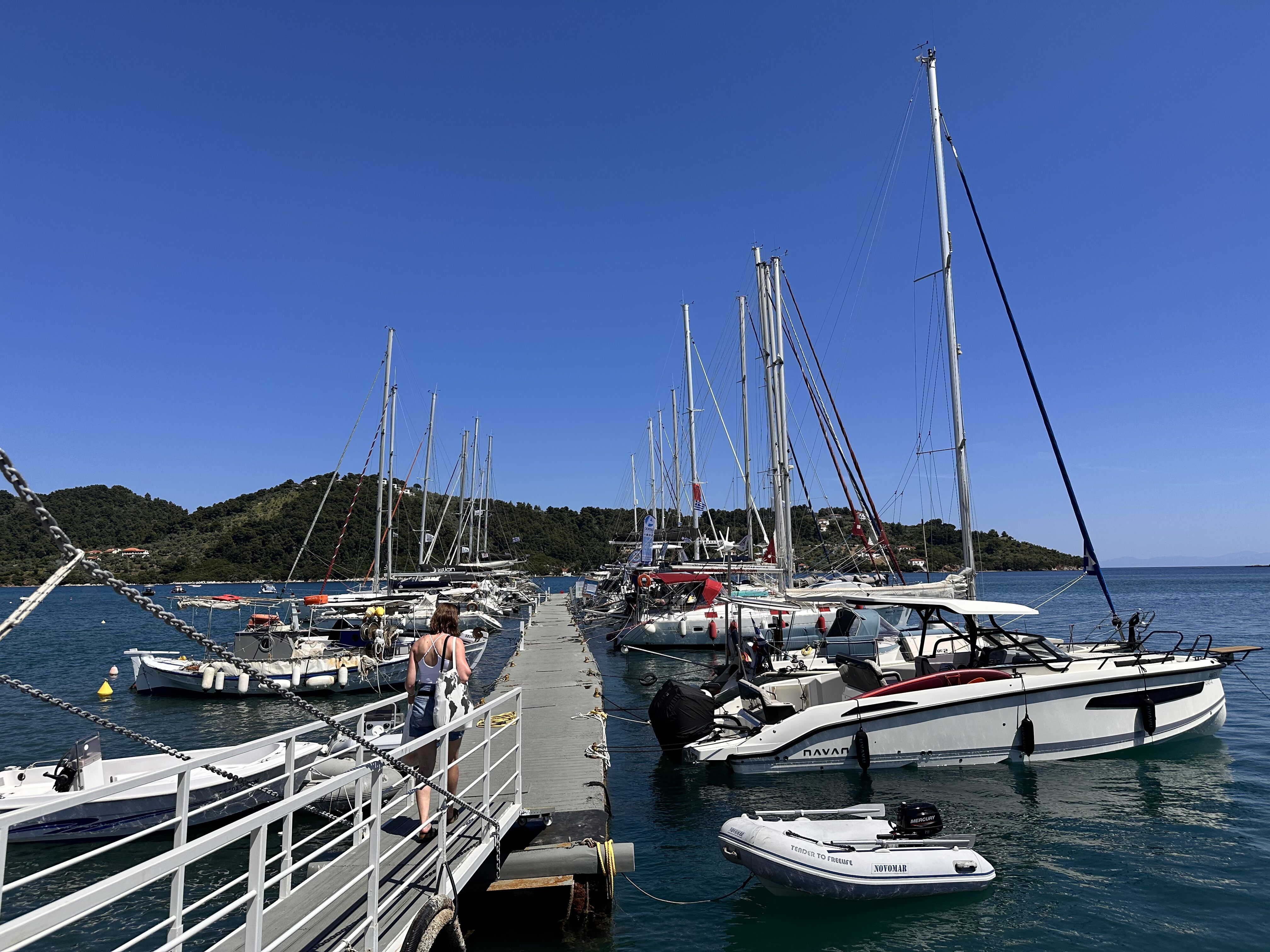 Sporady - odrzucone