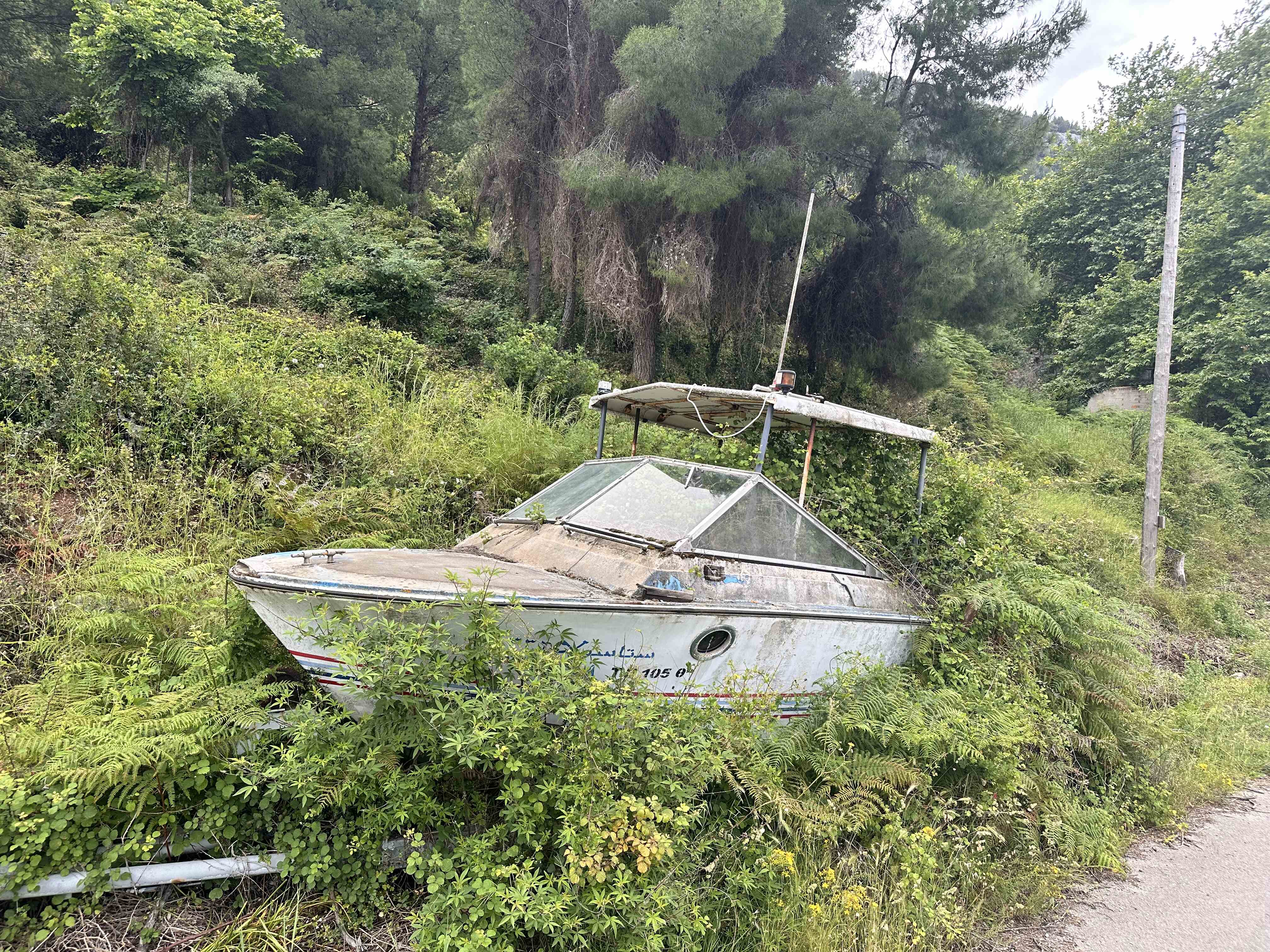 Sporady - odrzucone
