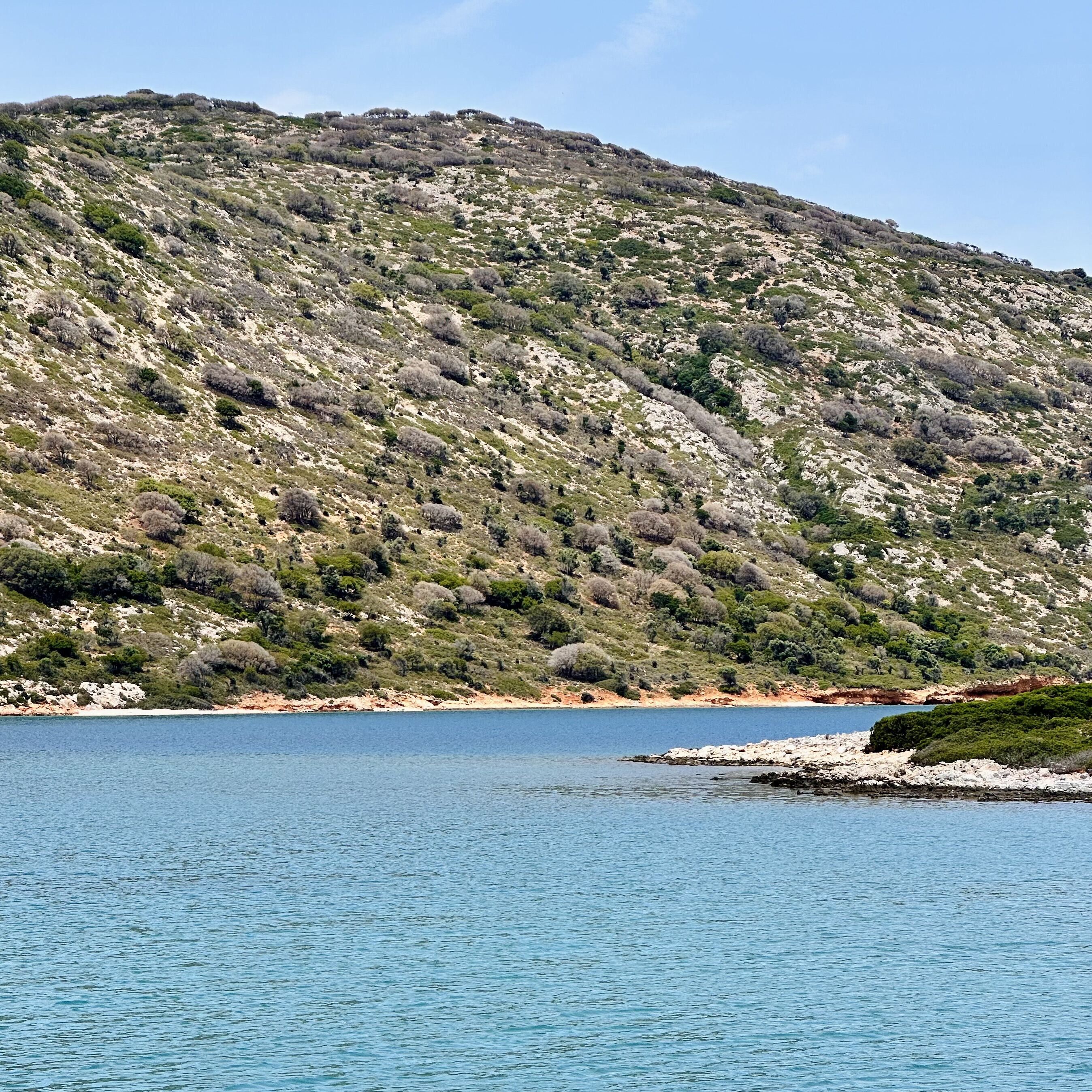 Sporady - odrzucone