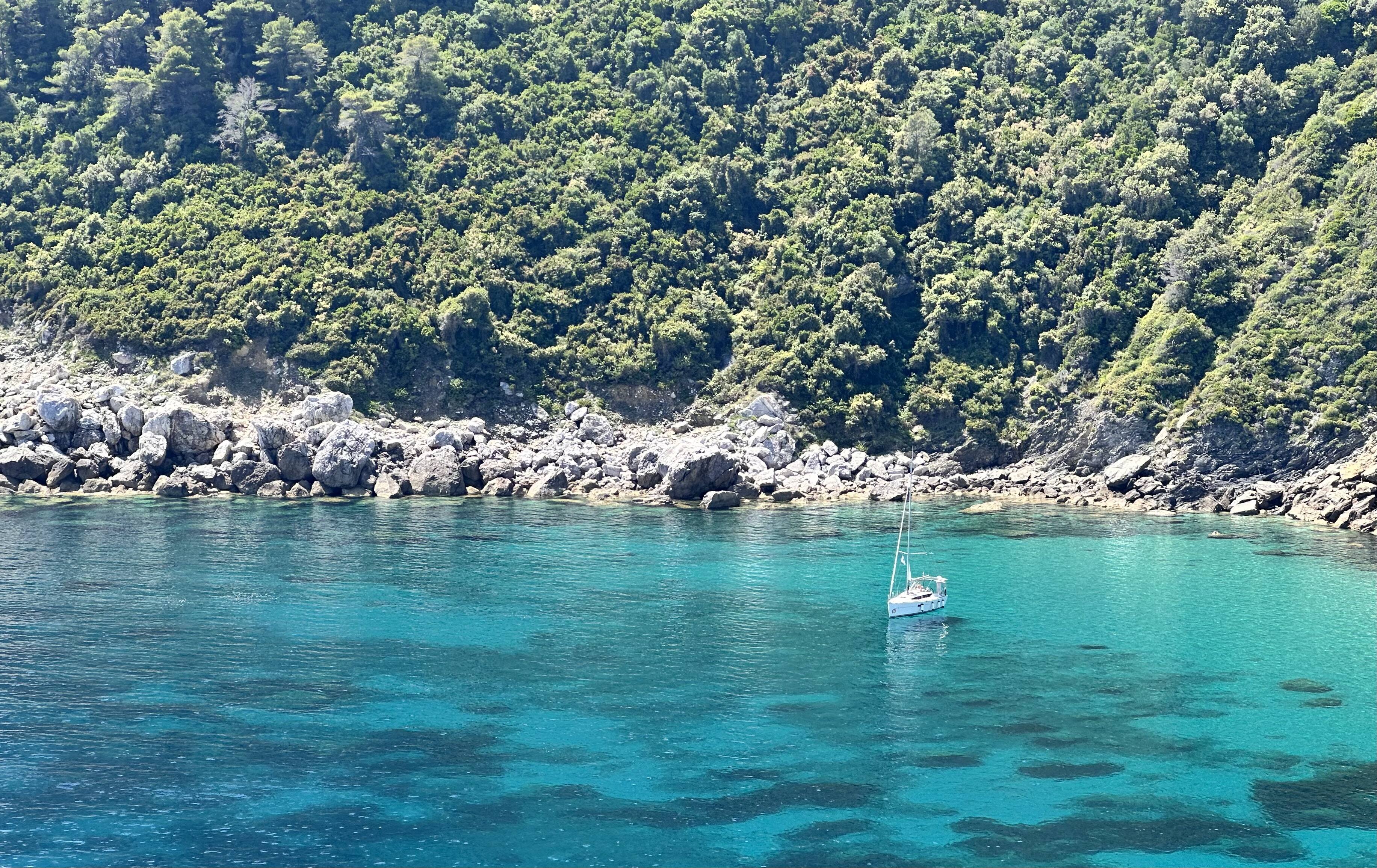 Sporady - odrzucone