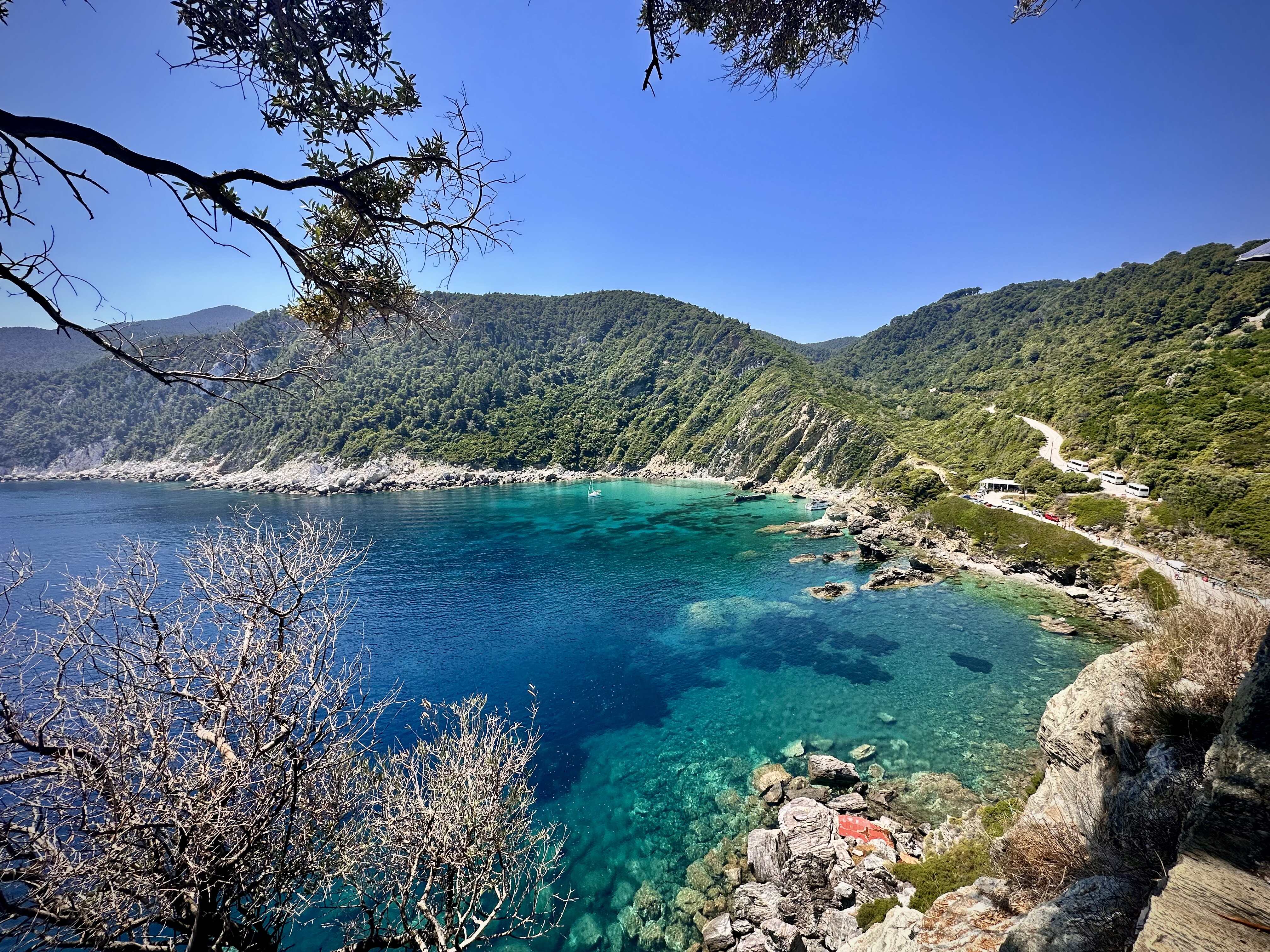 Sporady - odrzucone