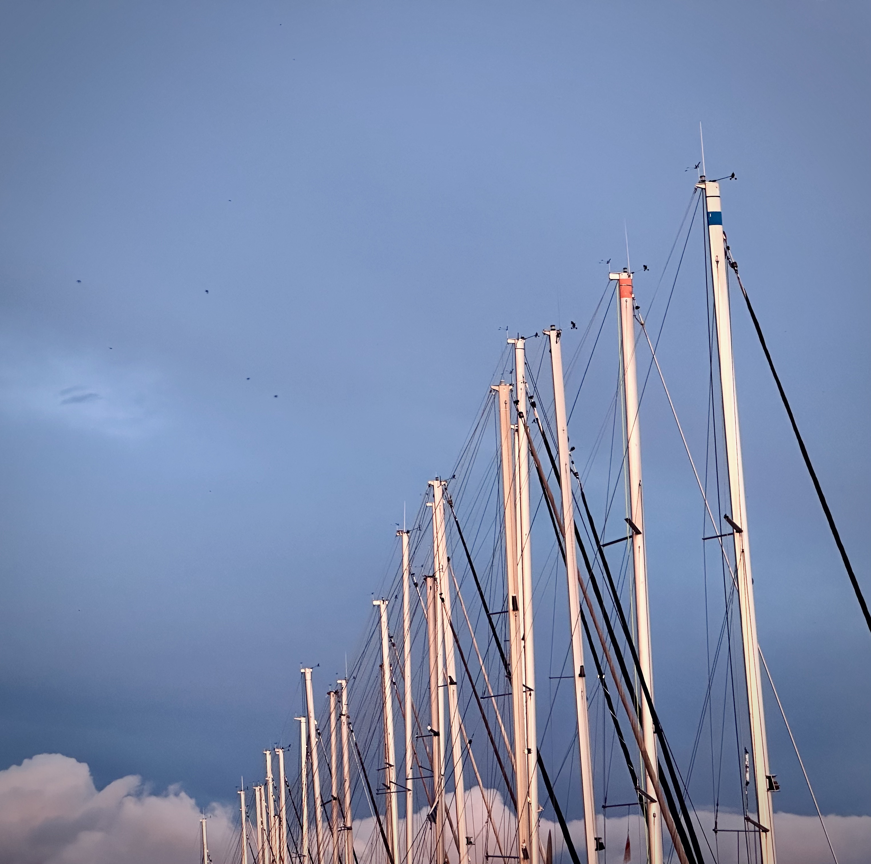 Sporady - odrzucone
